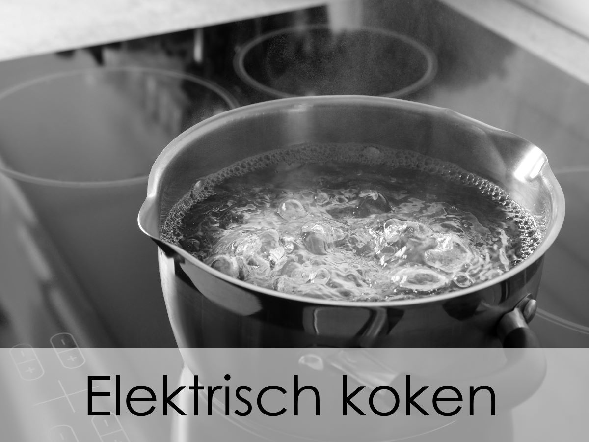 Kruipen straal Overeenkomstig Inductie kookplaat | Elektrisch koken - Verbouwkosten