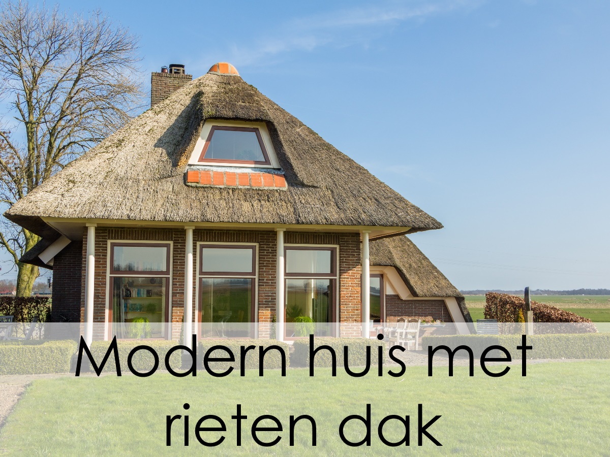 Modern huis met rieten dak